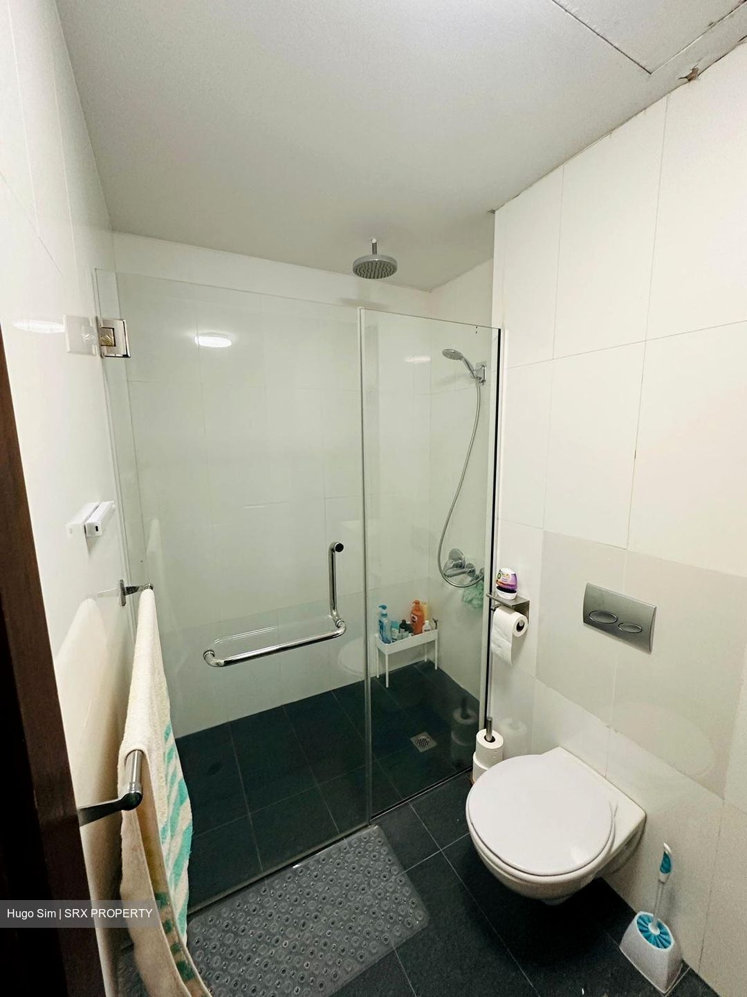 Axis @ Siglap (D15), Apartment #435072661